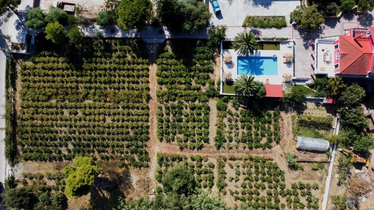 Zissis Villa&pool 5min drive to beach Kato Yerakarion Esterno foto
